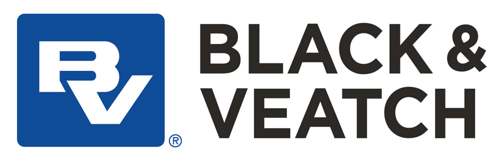 BV_logo_stacked update file.jpg